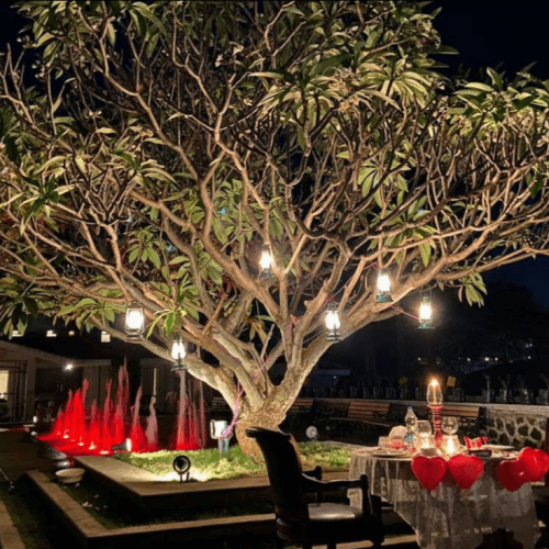 Igatpuri Resorts night time tree