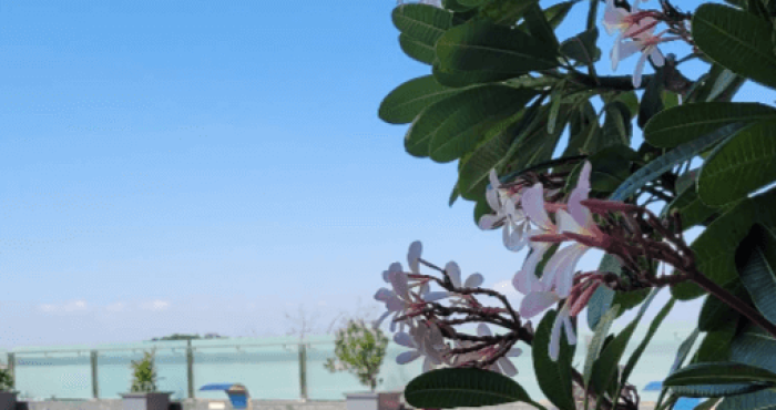 Igatpuri Resorts Nashik Maharashtra India